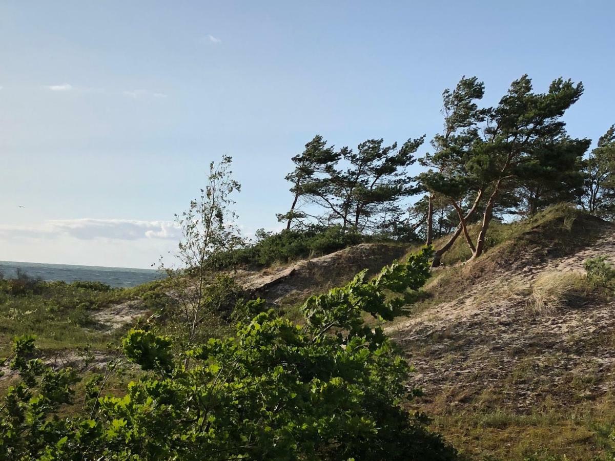 Haus Kranich Im Duenenwald 300M Zum Strand Dierhagen Eksteriør bilde